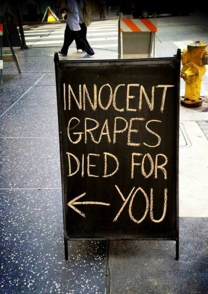 Innocent grapes died for you