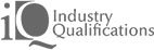 industry qualifications online course endorsement